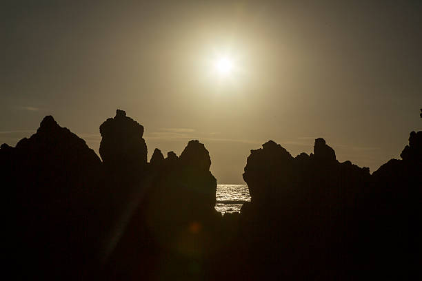 The charming and creative scenery of Amami Oshima in summer