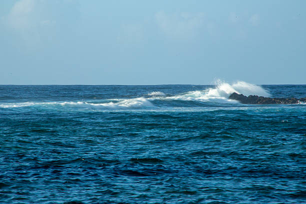 The charming and creative scenery of Amami Oshima in summer