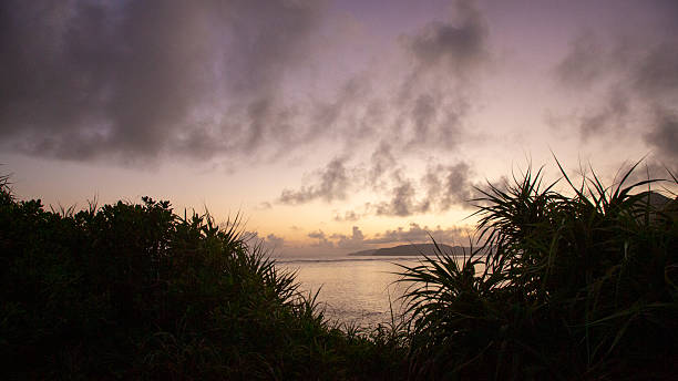 istock The charming and creative scenery of Amami Oshima in summer 2228153077