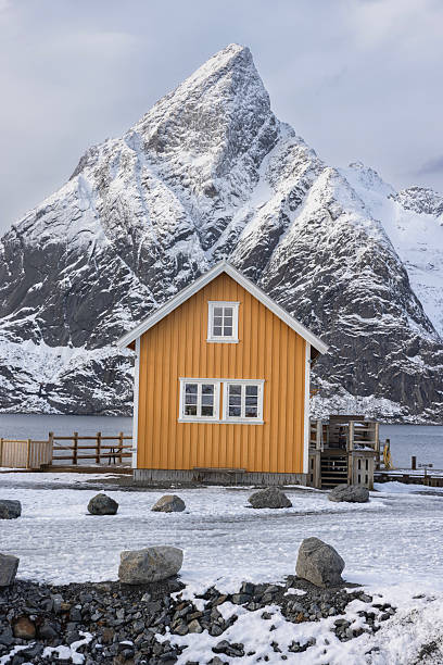 Remote yellow Rorbu houses in front of the iconic snow covred mountain peak of Olstind mountain at winter time,Lofoten Norway.