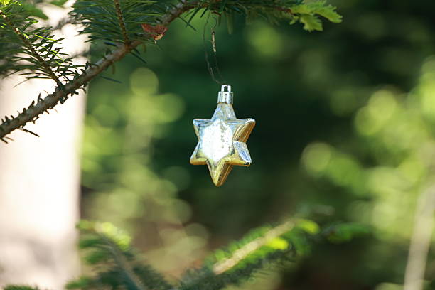 A gold star ornament hangs from a tree branch. The star is surrounded by green leaves, giving the impression of a festive and joyful atmosphere