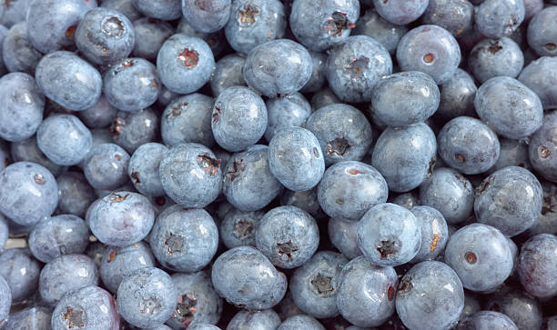 istock Close up photo of fresh blueberries, selective focus. 2228155818