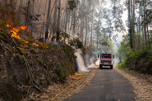 istock A fire engine is working to extinguish a forest fire in Galicia. 2228159195