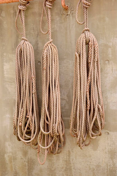 istock A bundle of ropes on the wall 2228159641
