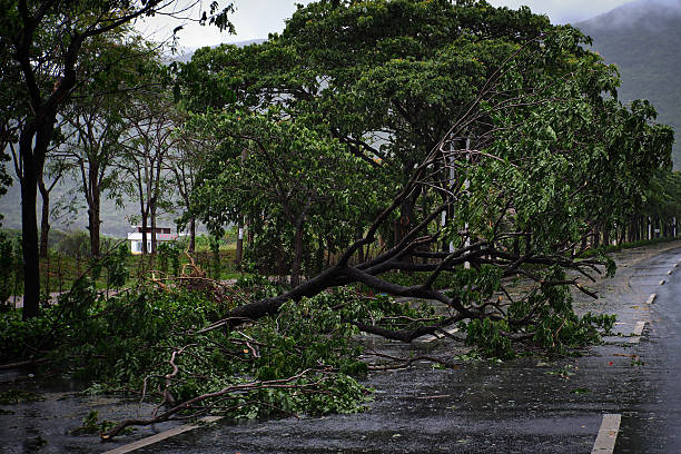 istock the coast before a typhoon in Sanya China 2228162096