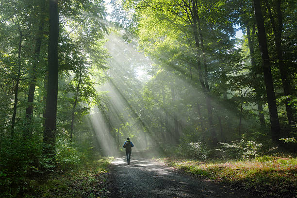 istock Hiker in a misty forest with beams of light 2228163086