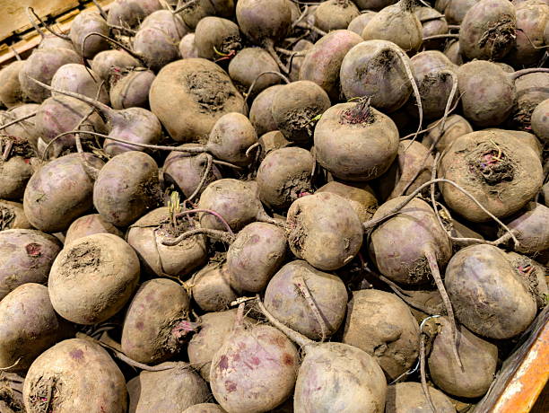 istock Freshly harvested beets displayed in a rustic market setting with earthy colors and textures under natural lighting during the autumn season 2228165625