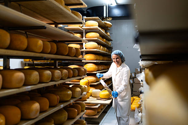 Production of handmade quality cheese.