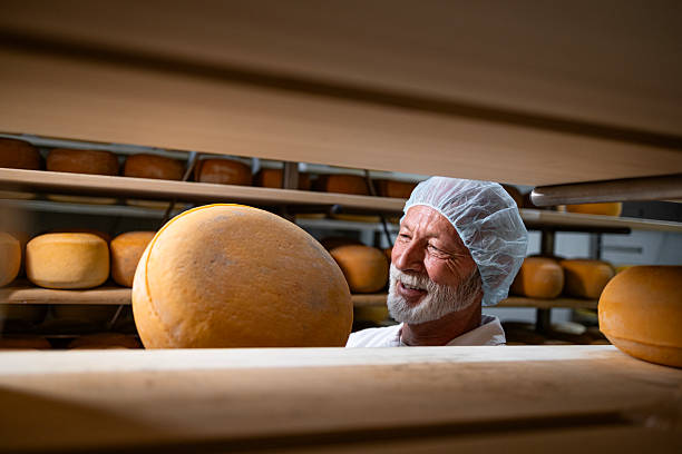 istock Production of high quality cheese. 2228168722