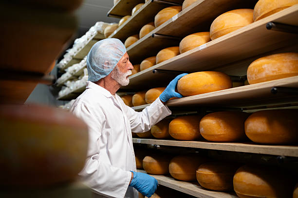 istock Production of high quality cheese. 2228168745
