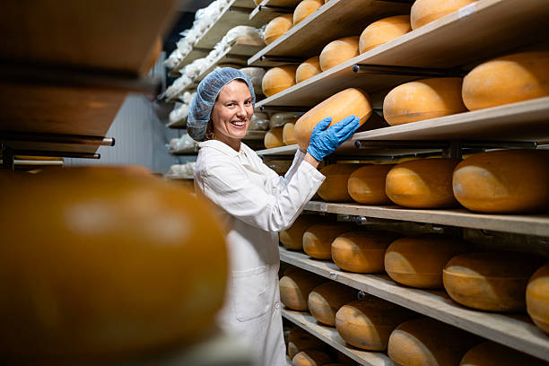 istock Cheese making business. Quality made cheese wheels. 2228168794