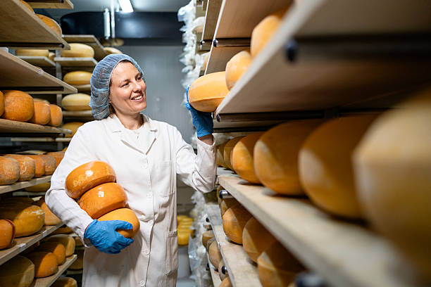 istock Female dairy worker enjoys making high quality cheese. 2228168843