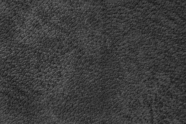 Detailed close up, macro of black synthetic suede leather texture, faux leather, leatherette. Background for design, fashion, upholstery material visuals. Natural grain structure, soft look.