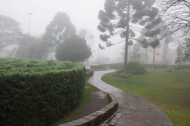 istock Foggy morning in the public park 2228174939