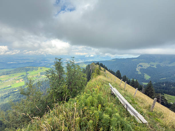 Wooden bench on grassy mountain ridge under cloudy sky. Scenic hiking trail with green vegetation and distant forested hills. Peaceful nature landscape with panoramic mountain views.