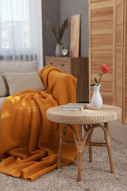 istock Stylish living room with sofa and coffee table. Interior design 2228178594