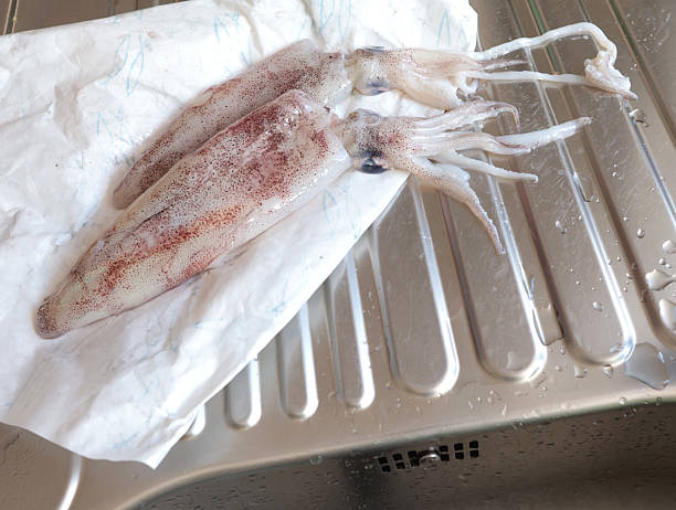 istock Fresh calamari on paper in kitchen. 2228180829