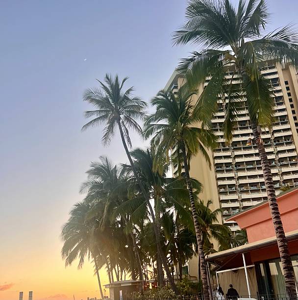 A breathtaking sunset over Waikiki Beach in Honolulu, Hawaii. The sky is painted in shades of orange and pink as palm trees sway gently in the breeze. Locals and tourists enjoy the last light of the day along the shoreline, capturing the peaceful energy of island life.