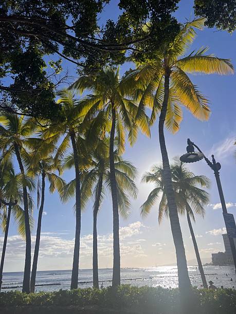 istock Sunset at Kuhio Beach, Waikiki 2228183081