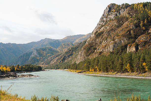 A wide river flows through a mountain valley, with forested hillsides showing green and yellow autumn trees and cloudy skies in the Altai Republic