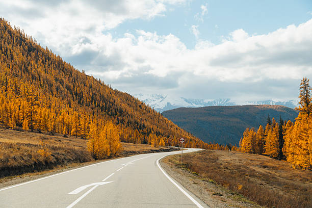 istock Scenic road through autumn mountains in Altai 2228183868