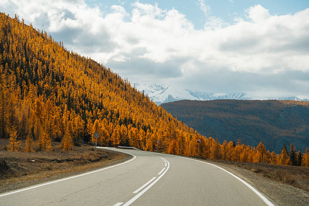 istock Winding road through a scenic autumn mountain landscape 2228184016
