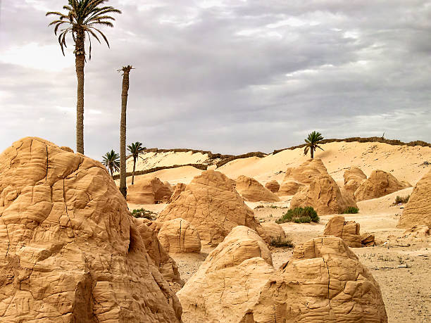 istock Sandstone formations in desert landscape . Ksar Ghilane, Tunisia 2228185444