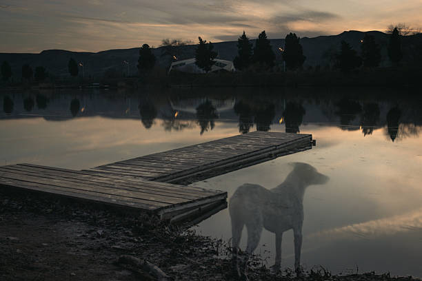 An ethereal scene at sunset in Rustavi, Georgia, showing a wooden dock extending into a calm lake. The silhouette of a dog appears ghostly in the foreground, creating a surreal and mysterious atmosphere. The still water reflects the dark silhouettes of trees and hills under a fading evening sky.