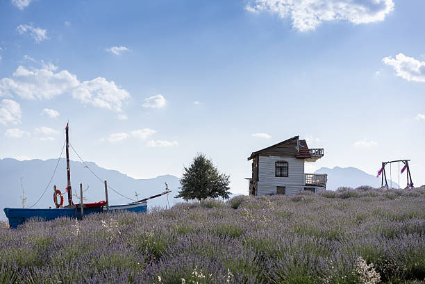 istock Farmhouse filled with blooming lavender flowers. 2228192784