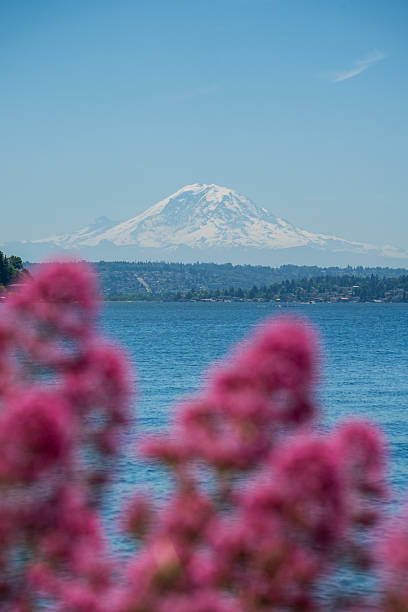 Mt Rainier and Lake Washington in the Springtime