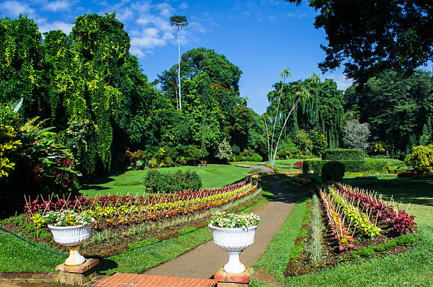 istock Royal Botanic Gardens, Peradeniya, Sri Lanka. 2228193720