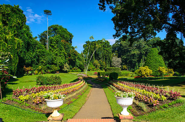 istock Royal Botanic Gardens, Peradeniya, Sri Lanka. 2228193726