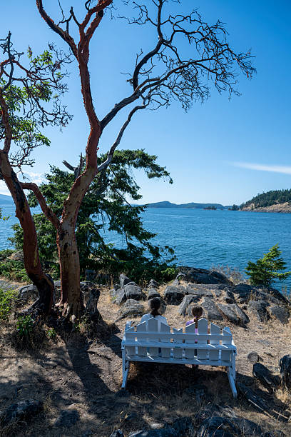 istock Sisters sit on bench on rocky shoreline above ocean, Gulf Islands 2228197087