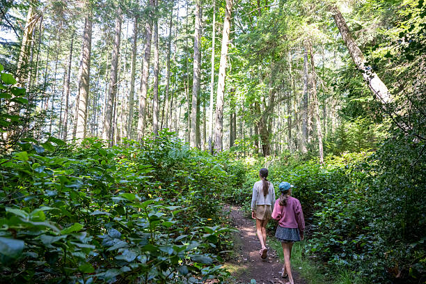 istock Sisters walk on trail in forest, Gulf Islands 2228199562