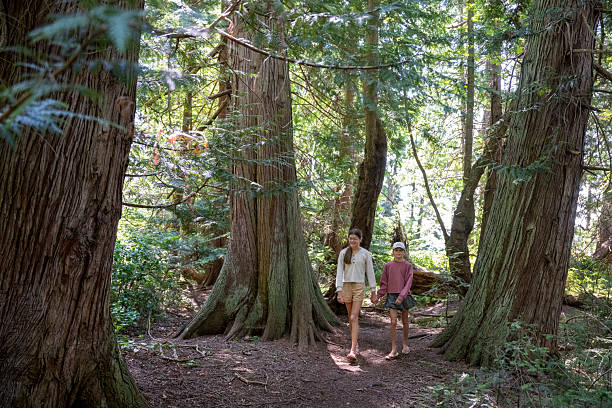istock Sisters walk on trail in forest, Gulf Islands 2228199590