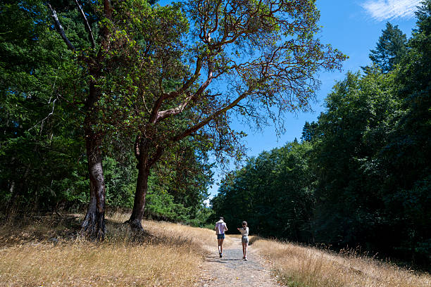 istock Sisters walk on pathway in forest, Gulf Islands 2228200108