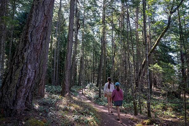 istock Sisters walk on trail in forest, Gulf Islands 2228200285