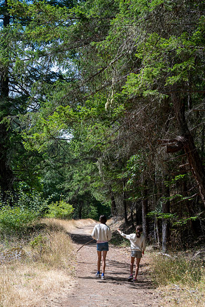 istock Sisters walk on pathway in forest, Gulf Islands 2228200783