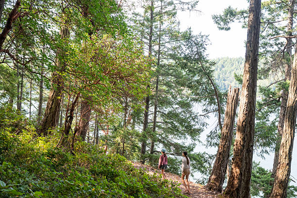 Millennial Adult Female Hiking in Nature Reserve in the Mid West USA (Shot with Canon 5DS 50.6mp photos professionally retouched - Lightroom / Photoshop - original size 5792 x 8688 downsampled as needed for clarity and select focus used for dramatic effect)