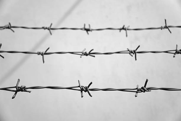 istock Close-Up of Barbed Wire Rows Against a White Background 2228204838