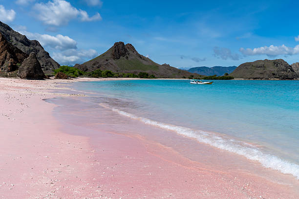 istock Pink beach on Komodo Island where soft blush sands blend with turquoise waters under a vivid sky in Indonesia's paradise. 2228204844