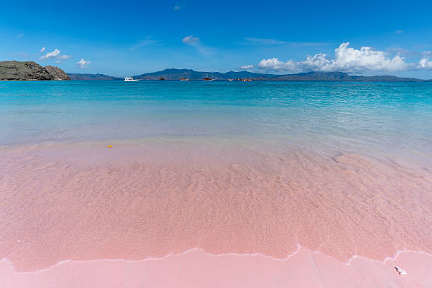 istock Pink beach on Komodo Island where soft blush sands blend with turquoise waters under a vivid sky in Indonesia's paradise. 2228204845
