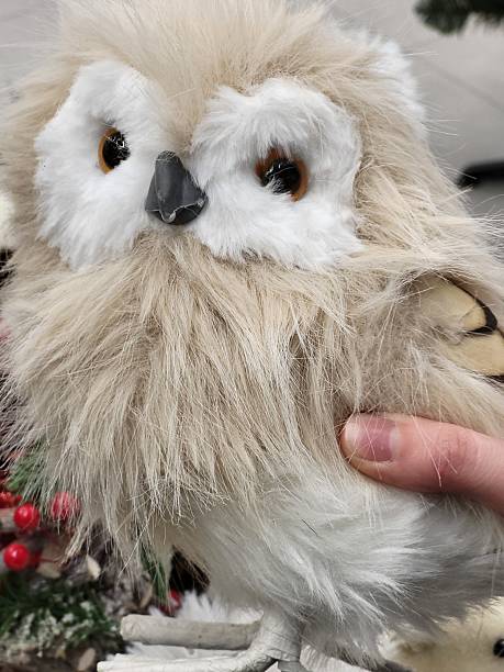 istock Plush Owl Toy in Hand 2228204912