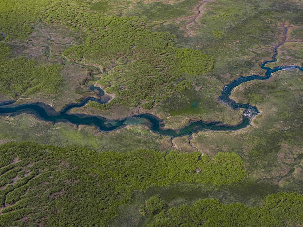 istock Delta of river Escuedo in Cantabria 2228206181