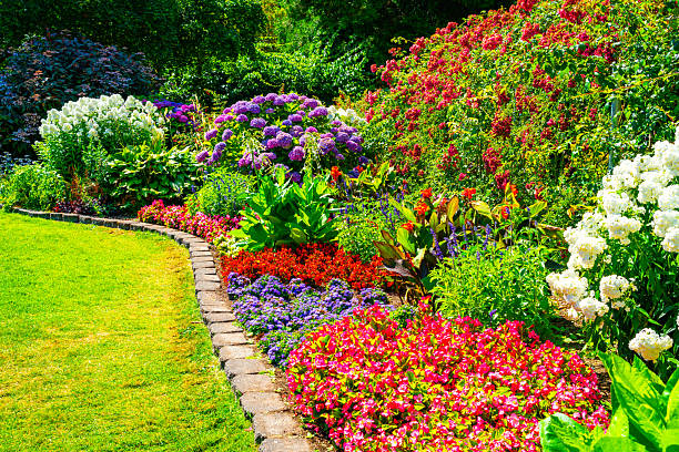 istock Lush Garden Flowers 3 2228208303