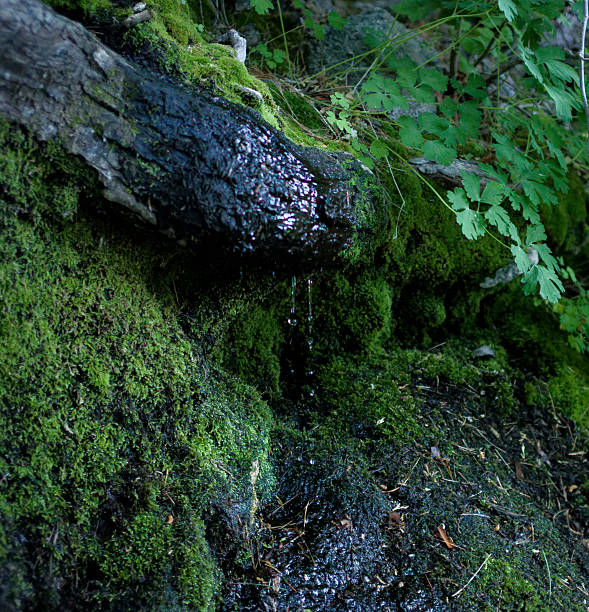 Idyllwild