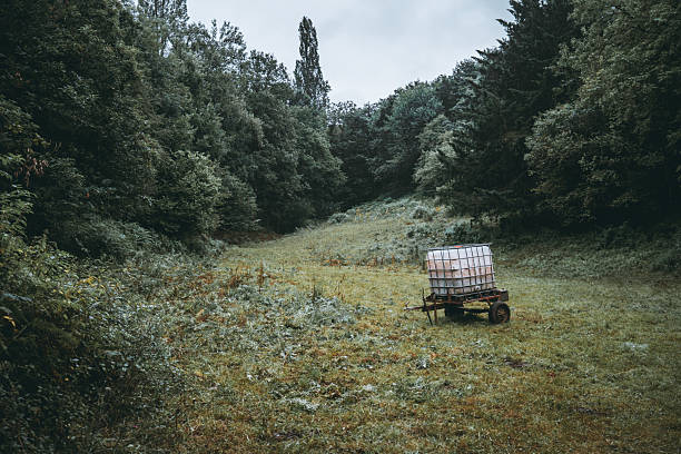 Lone water tank trailer stands in a misty green meadow surrounded by dense forest in Asturias, Spain, evoking solitude, rural life, and natural tranquility after rainfall