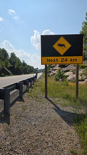 istock Moose Warning Sign in the park - Vertical 2228214087