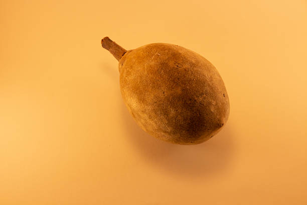 Baobab Fruit (Adansonia digitata), Exposing Tangy Pulp of the African Superfruit