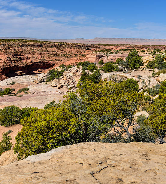 istock Canyon de Chelly from Antelope House Overlook 2228215673